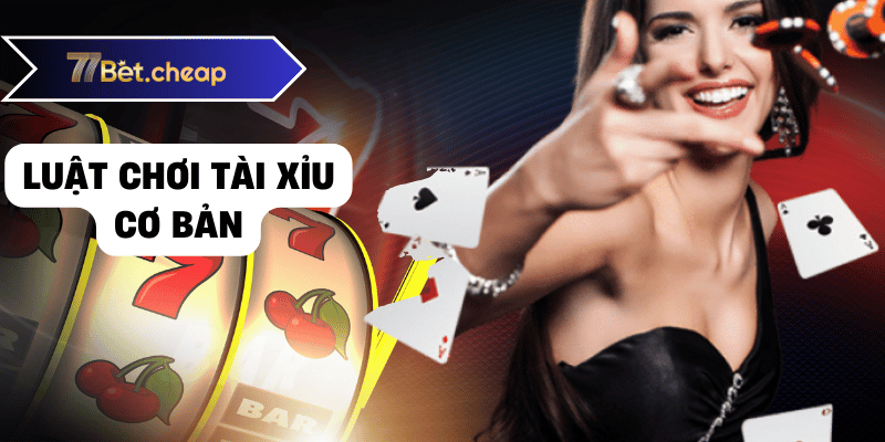 tài xỉu 77bet 01