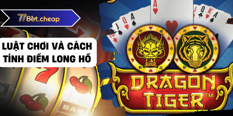 long hổ 77bet 01